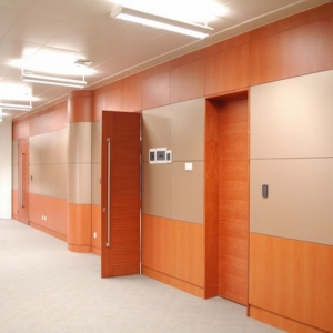 High-end office door Wall panel